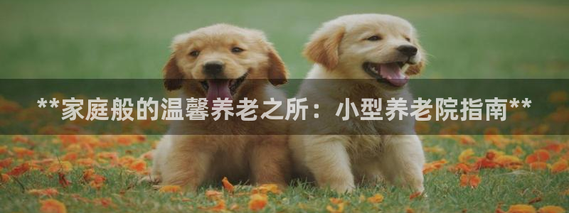 韦德1946体育官方入口