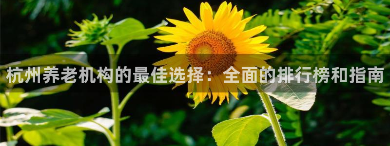 韦德注册手机版