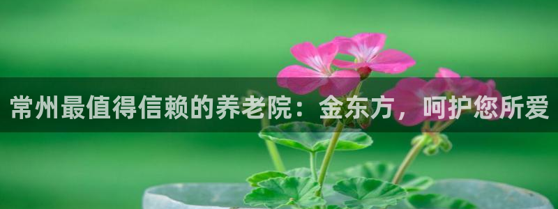 韦德国际体育