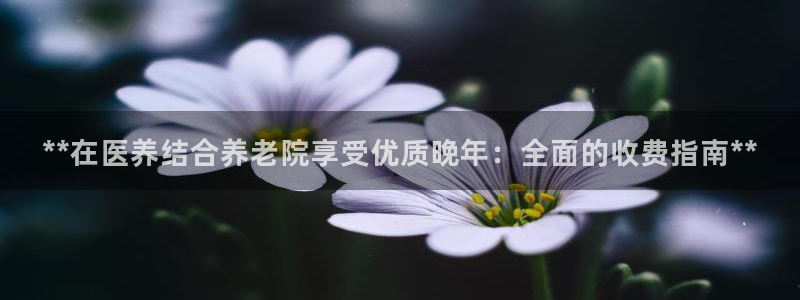 bet韦德1946