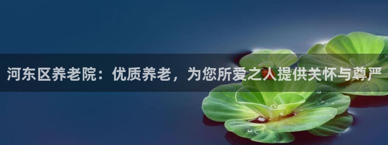 韦德 网站