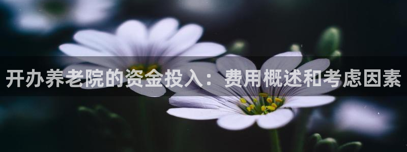 韦德新品