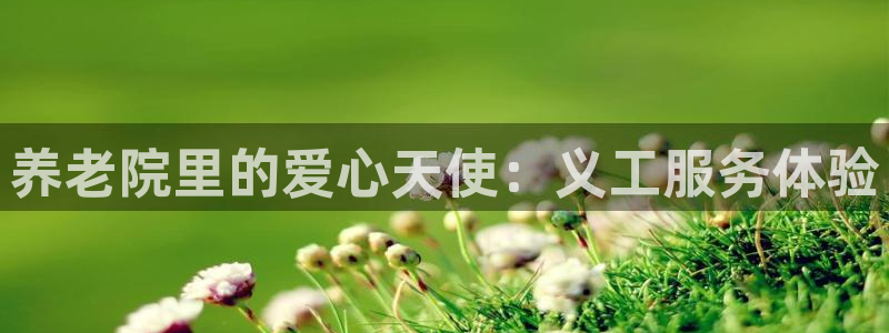 韦德注册手机版下载