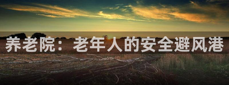 bet韦德1946