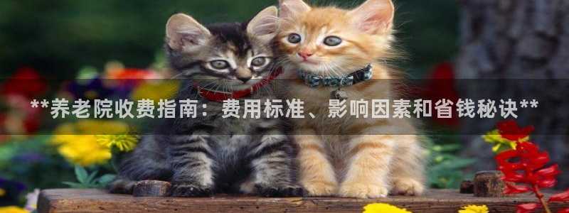 韦德游戏网址