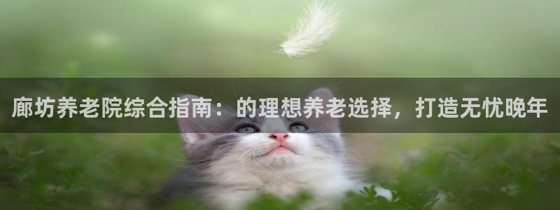 韦德 网址