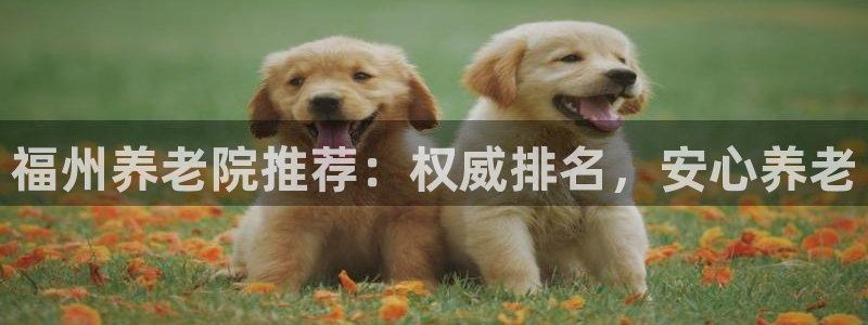 韦德的游戏