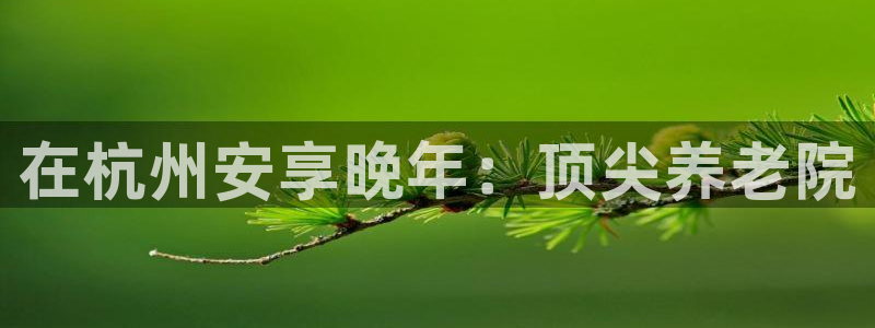 韦德bietview官网