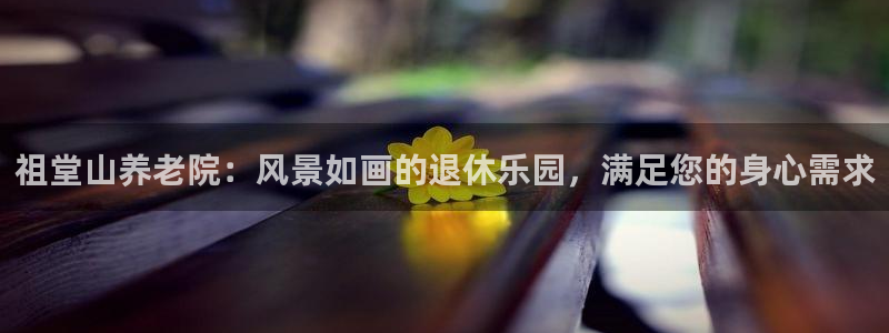 韦德官方网址大全