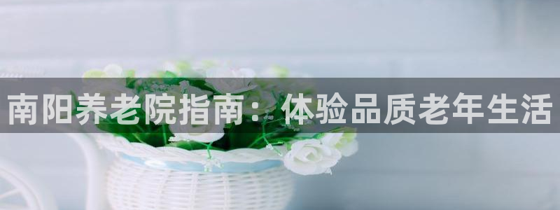 韦德网站是多少