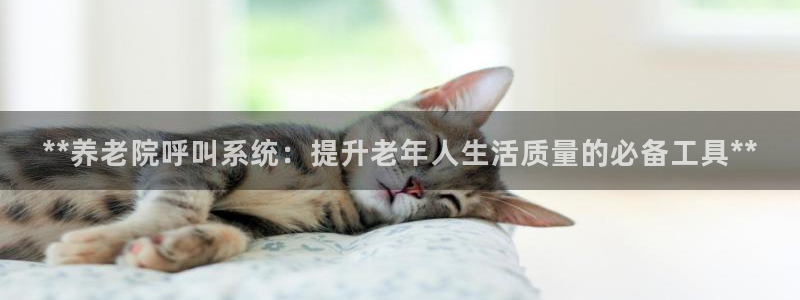 韦德1946