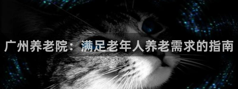 韦德网址是多少