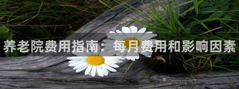 韦德1946娱乐