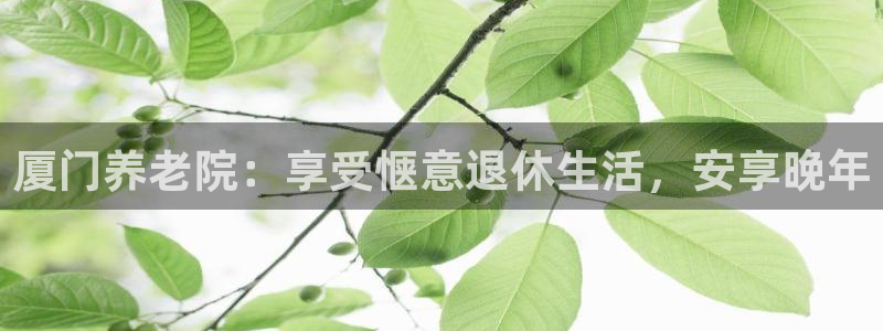 韦德1946最新网站