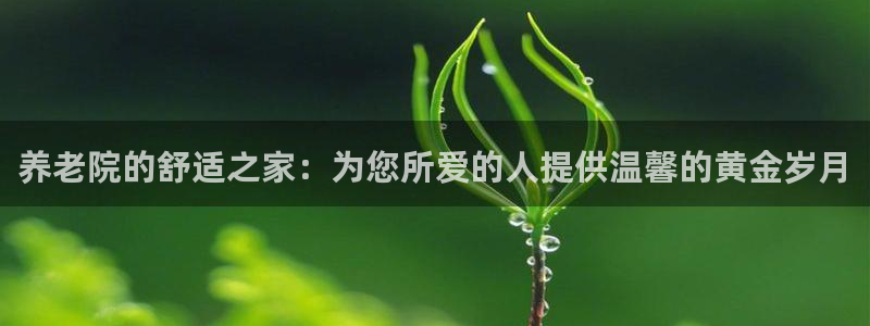 bet韦德1946