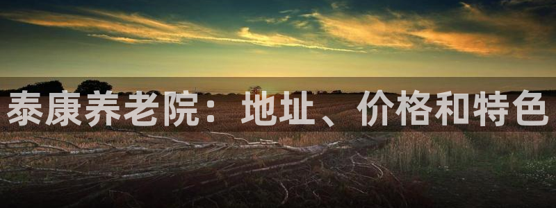 韦德1946手机网址