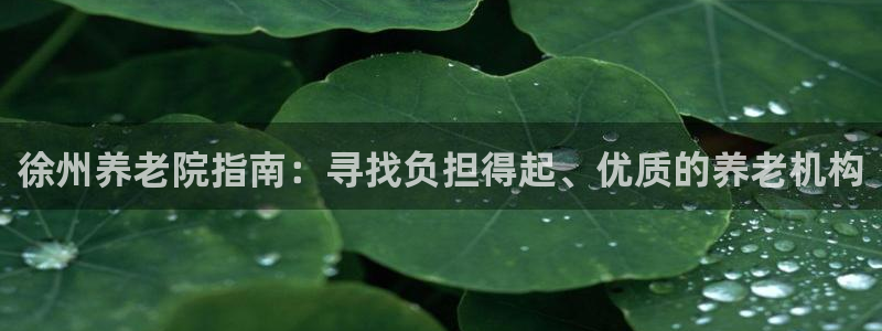 韦德官网在线