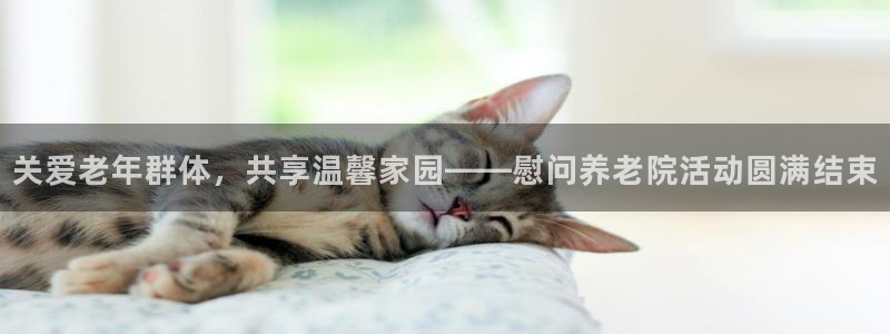 韦德bietview官网