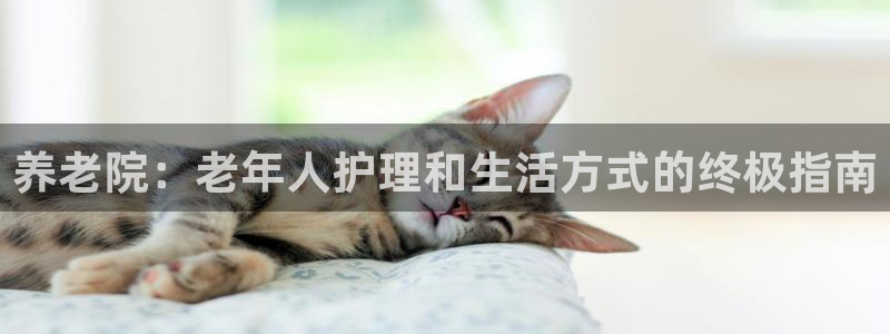 韦德官网注册推荐网站是什么