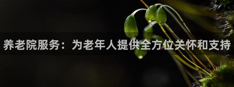 1946韦德找回密码