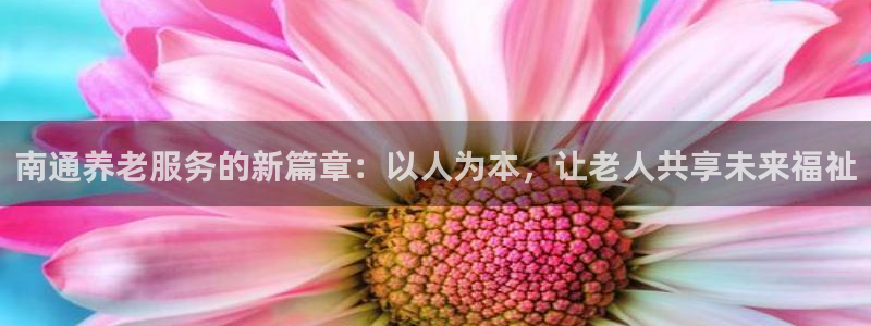 韦德1946下载