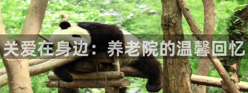 韦德注册手机版下载