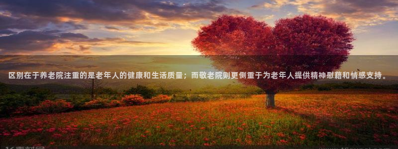 韦德官网注册推荐网站是什么