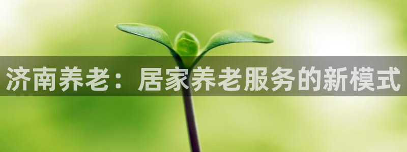 韦德1946始于英国