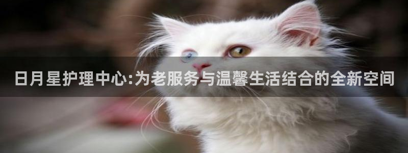 1946韦德网站