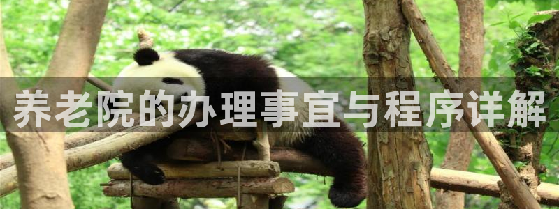 韦德网站是多少