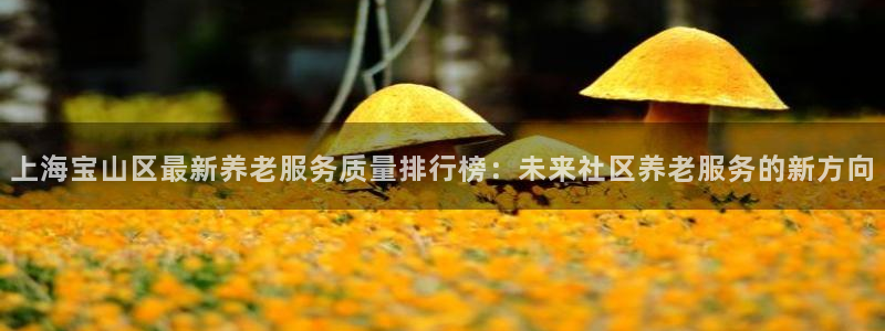 韦德游戏是什么