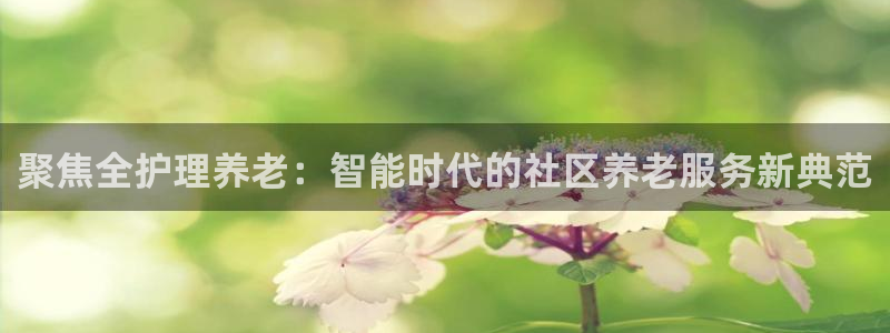 韦德网址是多少