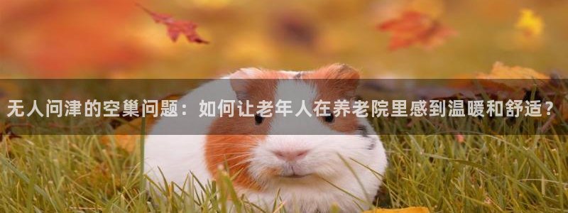 韦德网址