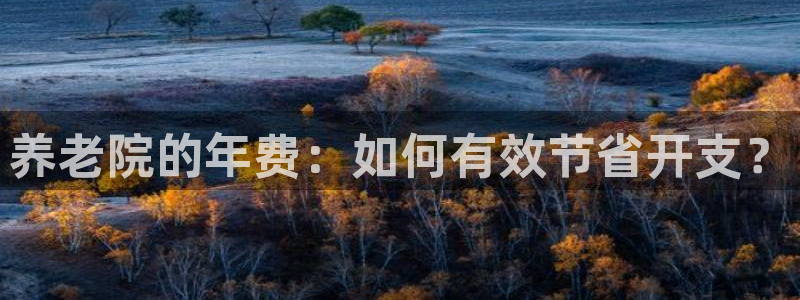 韦德游戏注册需要什么