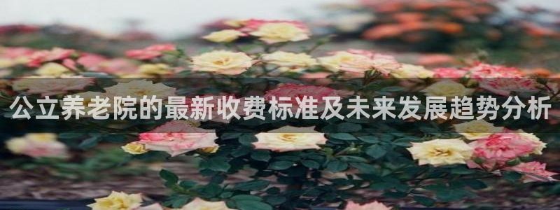 1946韦德游戏