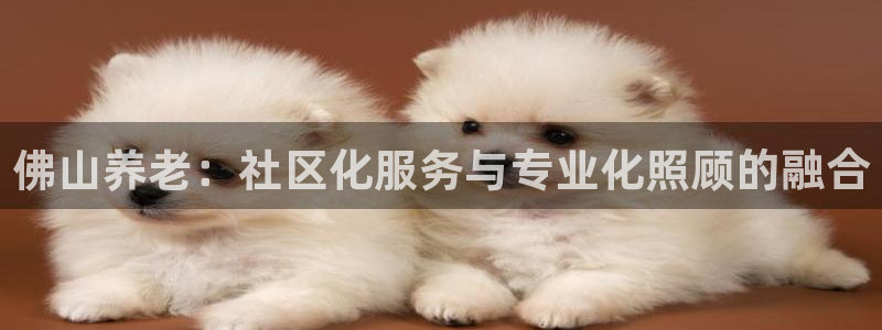 韦德网址
