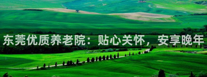 韦德官网注册推荐网站是什么