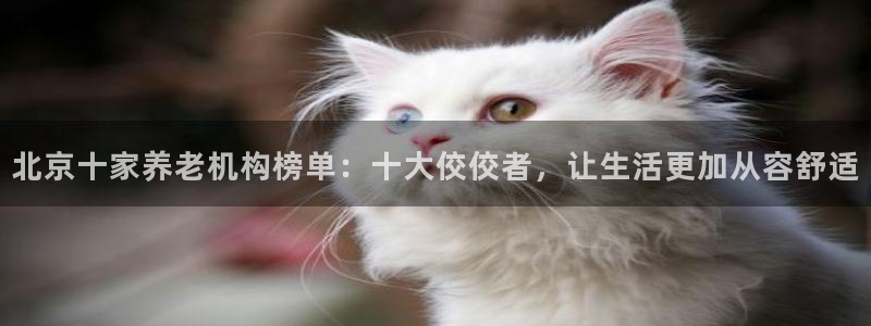 韦德游戏注册有风险吗