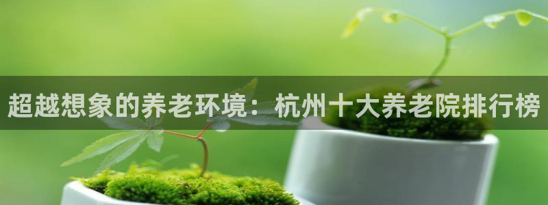 韦德观战总决赛G3