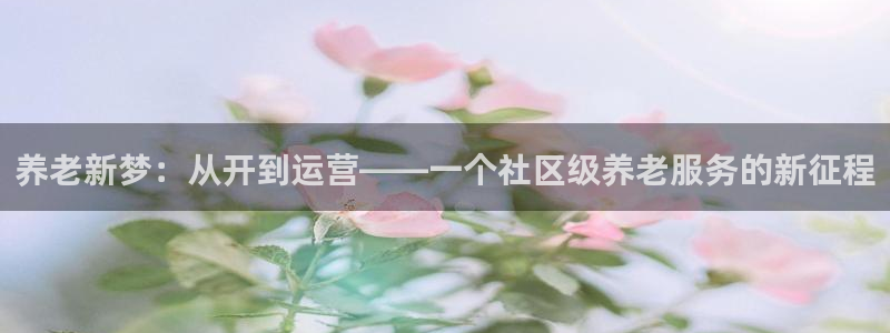 韦德网站是多少