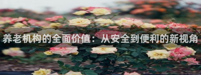 韦德注册手机版下载