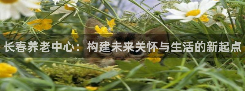 韦德游戏注册需要什么