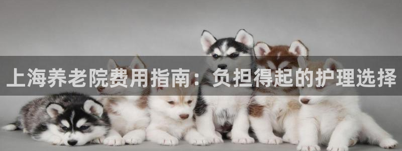 韦德游戏注册需要什么