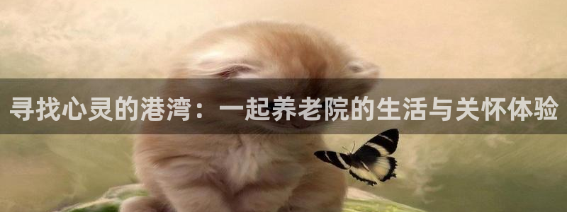 1946 韦德