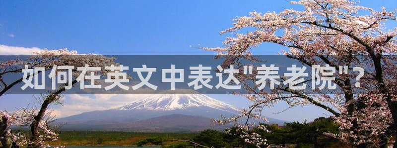 韦德1946手机
